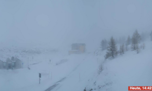 Schermata 2024 11 21 alle 14.55.13