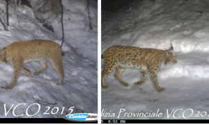 Schermata 2025 01 23 alle 15.42.20