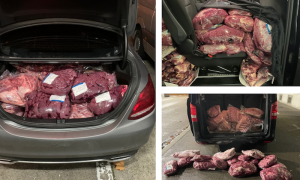 Schermata 2025 03 11 alle 13.50.20