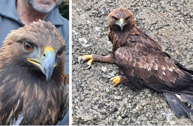 Schermata 2025 04 09 alle 15.12.21