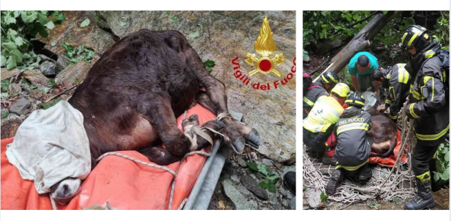 Schermata 2025 06 09 alle 07.15.34