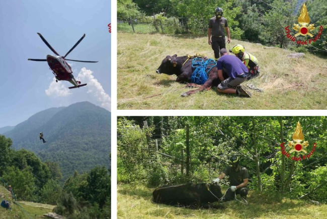 Schermata 2025 06 13 alle 17.03.00