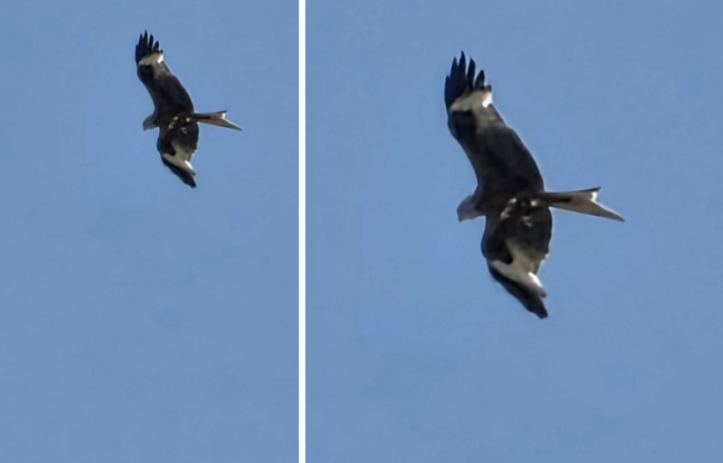 Schermata 2025 06 20 alle 09.57.53