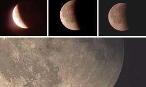 Schermata 2025 09 08 alle 12.32.21