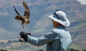 Screenshot 2025 08 10 alle 09.48.55