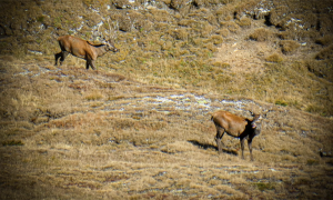 Screenshot 2025 11 02 alle 09.44.22