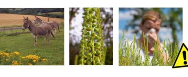 Serate naturalistiche nel parco