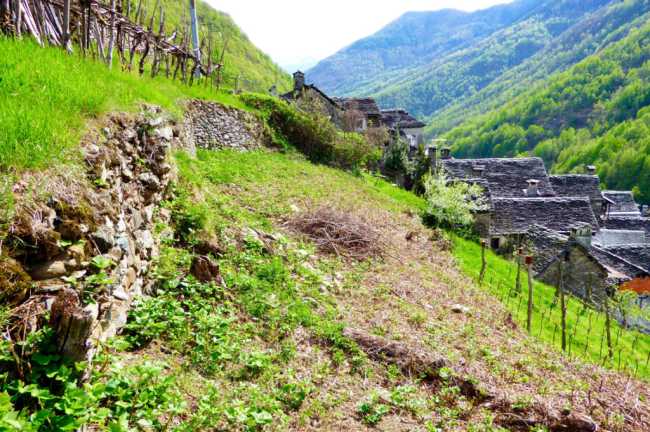 Terra Viva1 1024x681