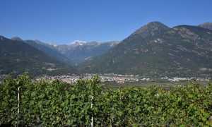 Vitigni e cantine in Val dOssola Villa Mercante 3