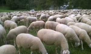 WP 20180929 18 59 17