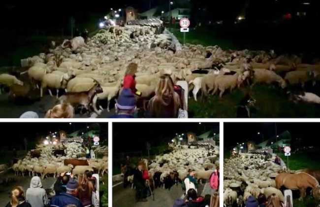 WhatsApp Image 2018 09 30 at 09.17.59