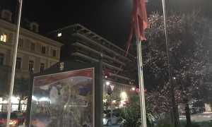 WhatsApp Image 2018 11 03 at 11.20.55