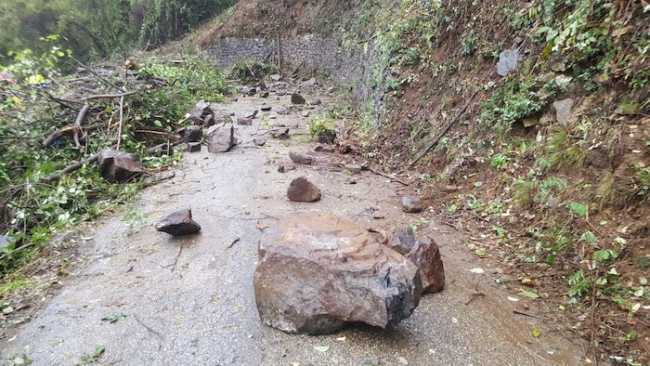 WhatsApp Image 2018 11 10 at 11.27.51