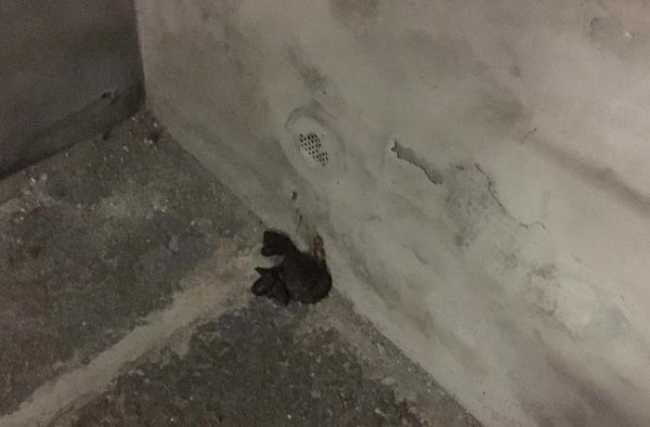 WhatsApp Image 2018 12 24 at 09.57.48