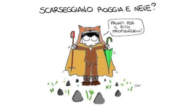 WhatsApp Image 2019 01 25 at 08.26.58