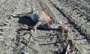 WhatsApp Image 2019 03 08 at 11.44.39