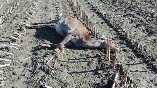 WhatsApp Image 2019 03 08 at 11.44.39