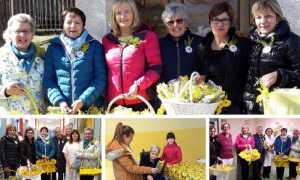 WhatsApp Image 2019 03 08 at 17.30.28