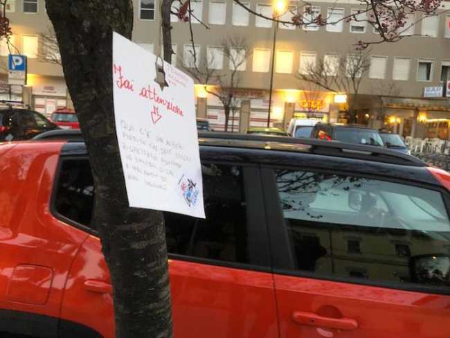 WhatsApp Image 2019 03 20 at 08.22.20