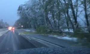 WhatsApp Image 2019 04 04 at 08.29.55