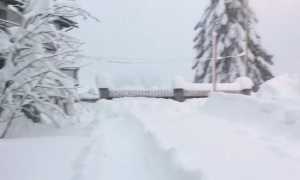 WhatsApp Image 2019 04 04 at 08.32.551