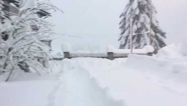 WhatsApp Image 2019 04 04 at 08.32.551