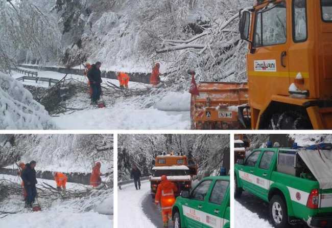 WhatsApp Image 2019 04 04 at 09.43.50