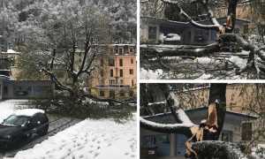 WhatsApp Image 2019 04 04 at 12.00.13