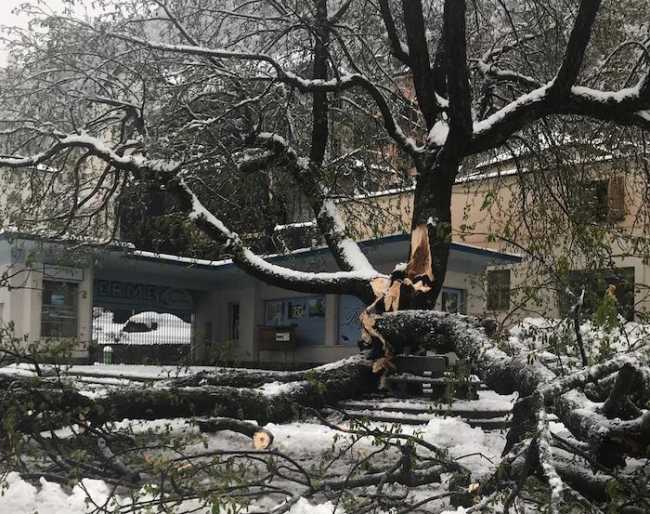 WhatsApp Image 2019 04 05 at 08.39.43