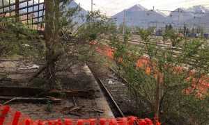 WhatsApp Image 2019 04 11 at 16.44.02