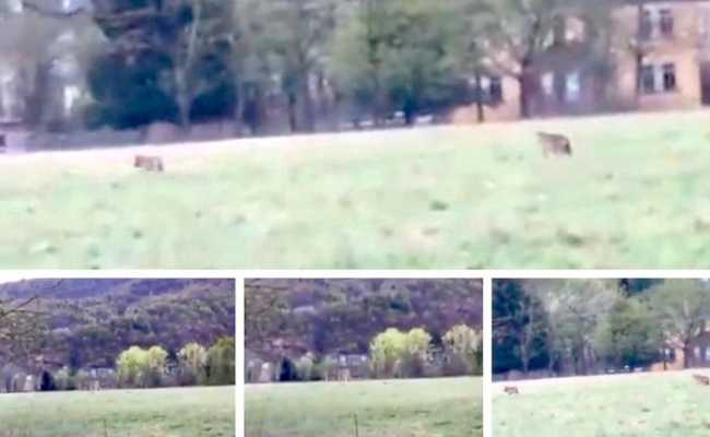 WhatsApp Image 2019 04 15 at 13.02.12