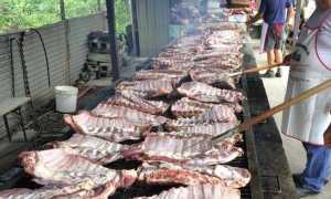 WhatsApp Image 2019 06 04 at 15.47.55