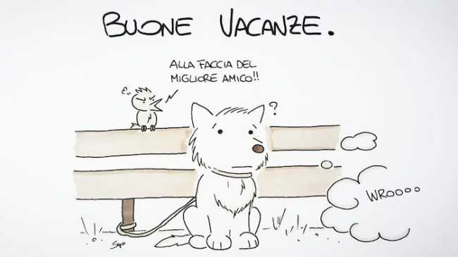 WhatsApp Image 2019 07 09 at 14.19.47