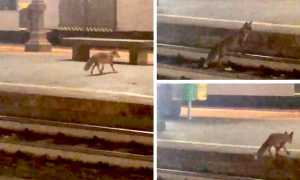 WhatsApp Image 2019 10 05 at 08.59.46