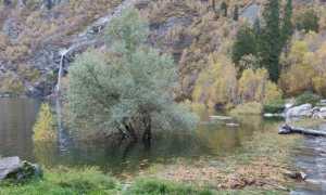 WhatsApp Image 2019 10 26 at 11.24.28