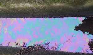 WhatsApp Image 2020 01 28 at 16.49.18