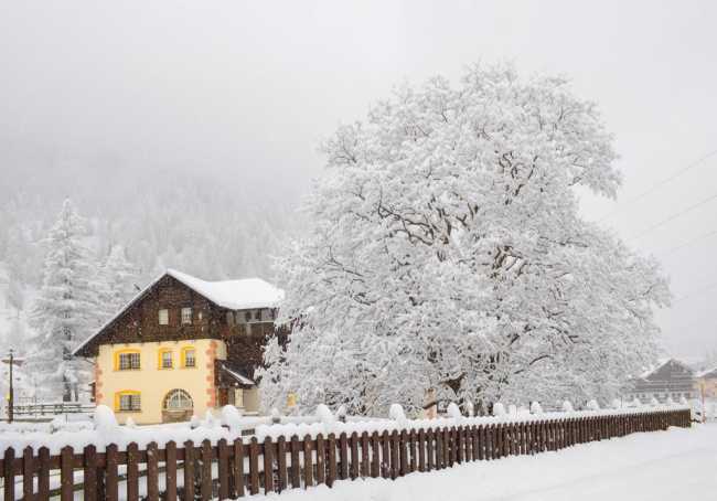 WhatsApp Image 2020 03 02 at 16.00.40