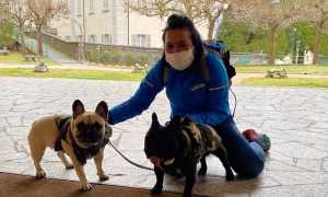 WhatsApp Image 2020 04 03 at 14.50.36