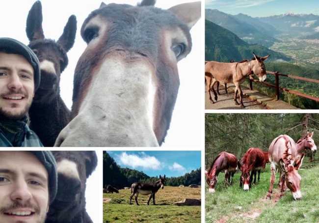 WhatsApp Image 2020 04 30 at 08.49.41