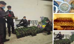 WhatsApp Image 2020 11 09 at 09.34.50