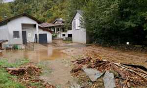 WhatsApp Image 2020 12 24 at 08.37.13