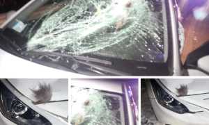 WhatsApp Image 2020 12 31 at 09.16.33