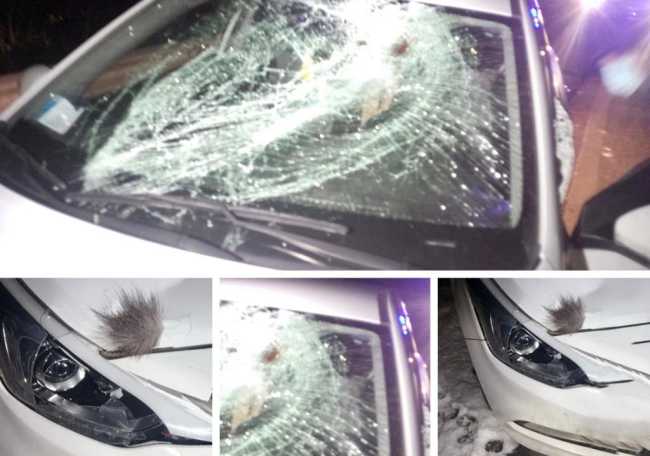 WhatsApp Image 2020 12 31 at 09.16.33