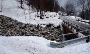 WhatsApp Image 2021 02 02 at 08.49.04