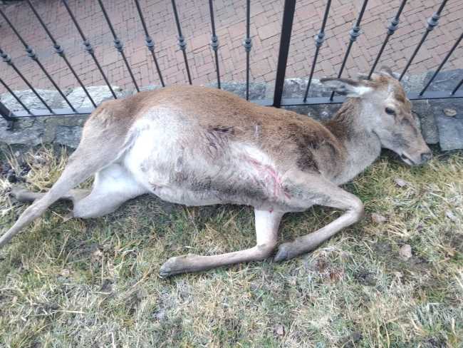 WhatsApp Image 2021 02 04 at 08.51.53