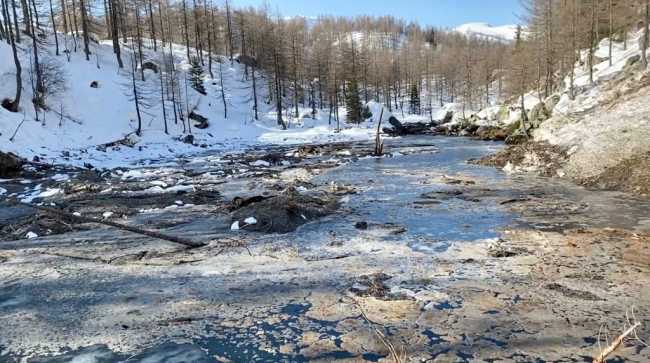 WhatsApp Image 2021 04 07 at 09.11.59