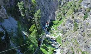 WhatsApp Image 2021 04 08 at 13.27.37