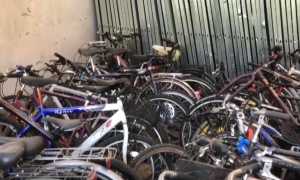 WhatsApp Image 2021 04 16 at 08.25.14