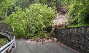 WhatsApp Image 2021 05 11 at 11.56.54