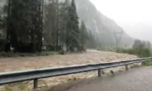 WhatsApp Image 2021 07 14 at 08.27.201